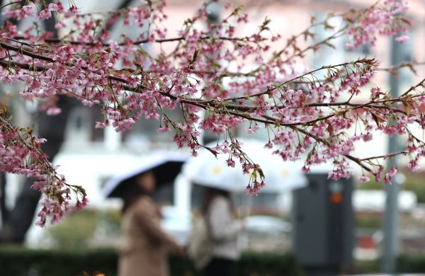 Im Nordosten von Gyeonggi, Gangwon-Provinz, werden am Donnerstagabend heftige Regenfälle erwartet