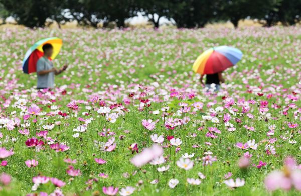Vorhersage für bewölkten Himmel für Mittwoch im Großraum Seoul, Provinz Gangwon