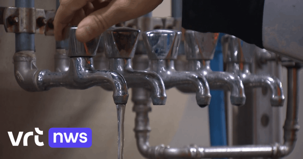 Die kleinsten PFAS-Arten, die in weiten Teilen des flämischen Trinkwassers vorkommen, können Fruchtbarkeitsprobleme verursachen | VRT NWS-Nachrichten