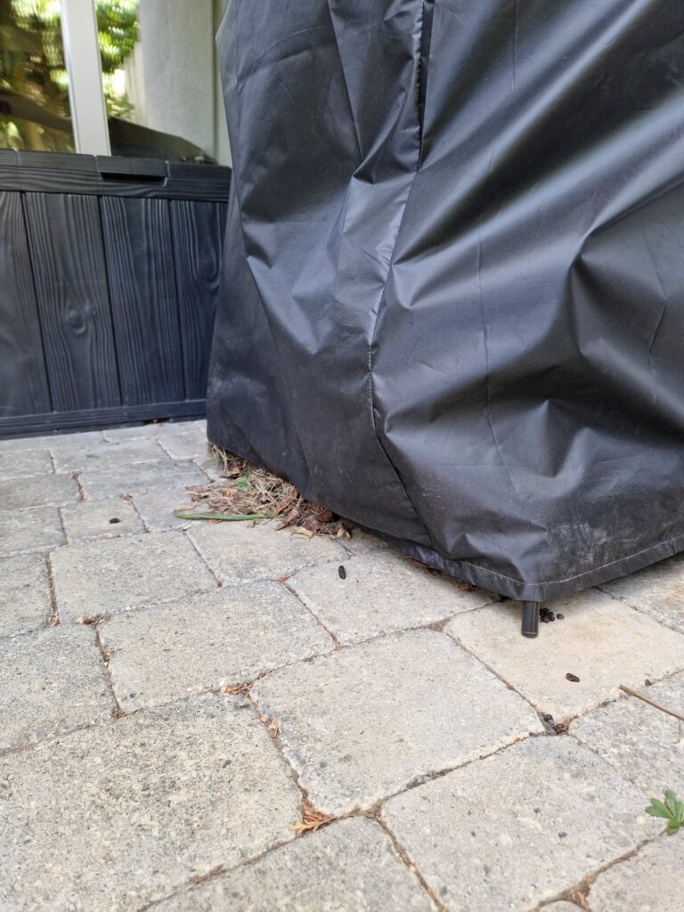 Igel hat sich unter Grill eingenistet Igel hat sich unter Grill eingenistet