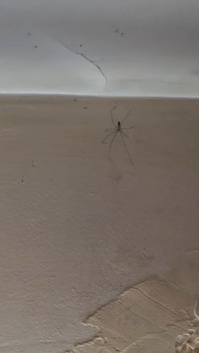 In diesen extremen Hitzeperioden vergessen wir niemanden.