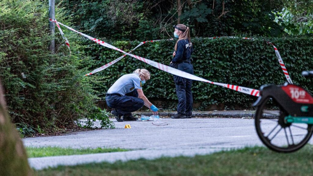 16-Jähriger nach Messerstecherei in Roskilde tot
