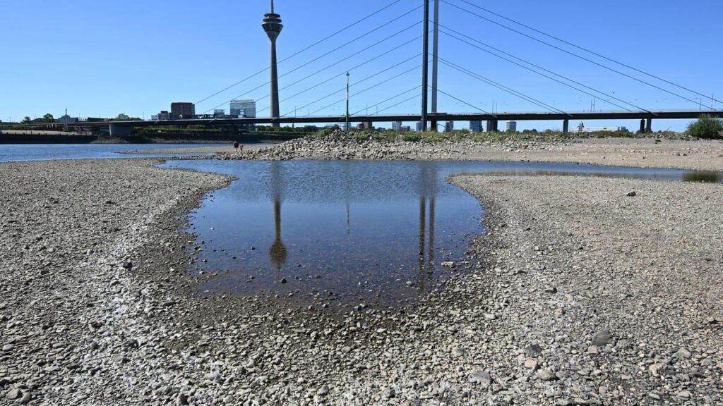 Rheinpegel in Düsseldorf fällt erstmals unter null – ein historischer Wert