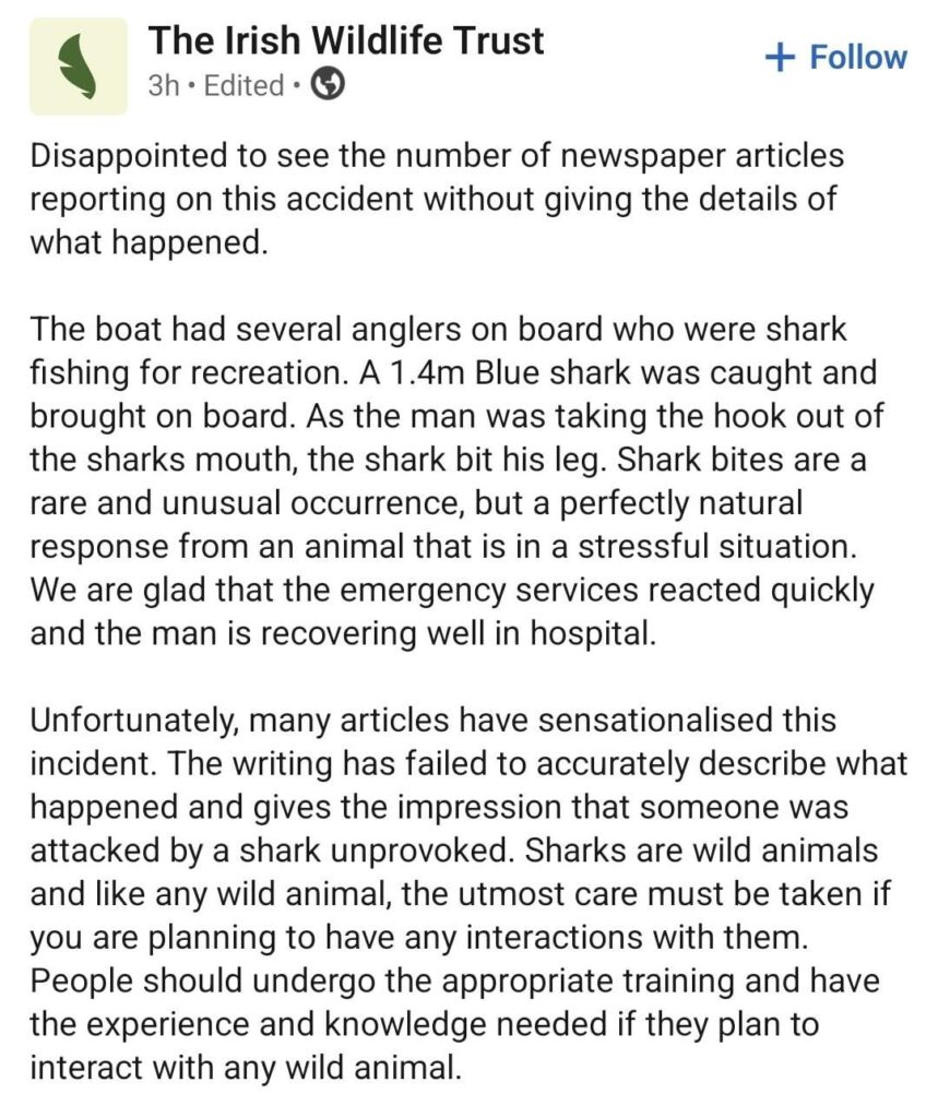 Der Irish Wildlife Trust äußert sich zum Haibiss und zur Darstellung in den Medien