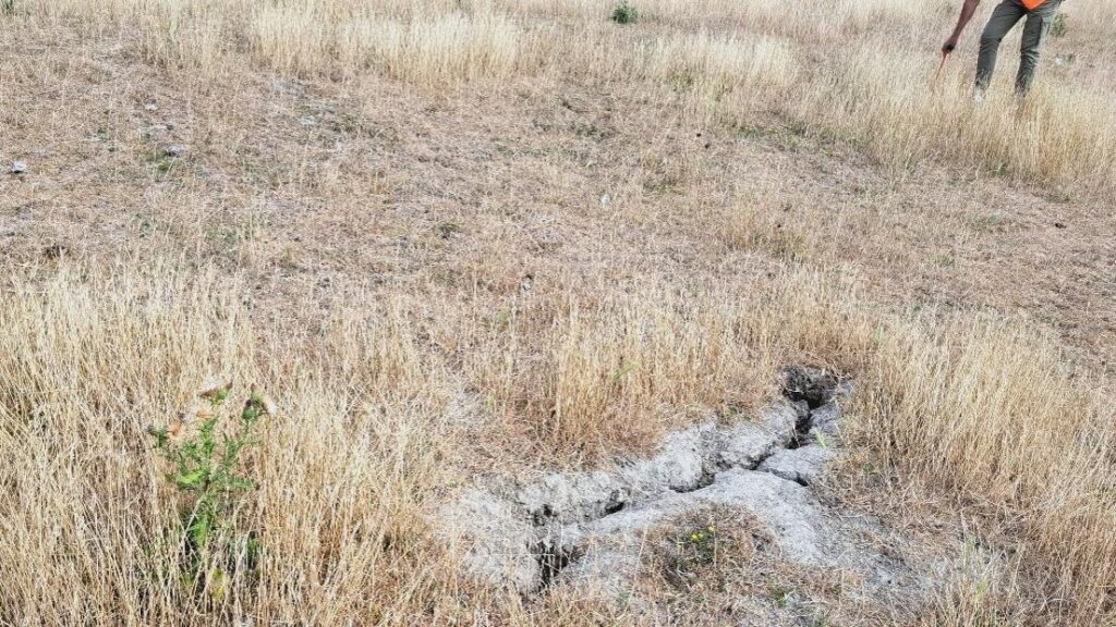Aufgrund der Dürre kommt es in Südholland immer häufiger zu Rissen in Deichen