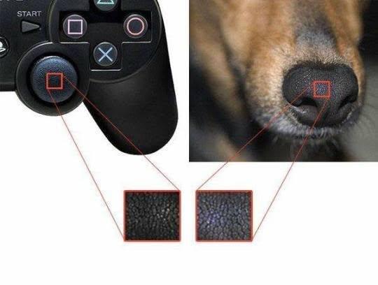 Jedes Jahr werden 10 Billionen Doggos getötet, um einen PlayStation-Controller herzustellen.