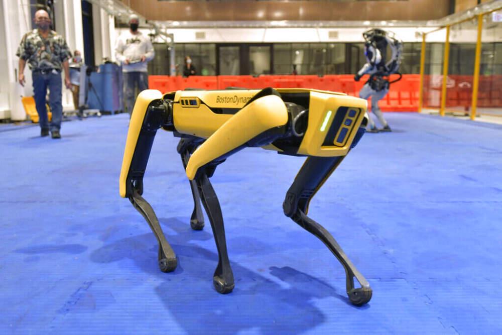 ICE plant, in Mass hergestellte Roboterhunde zu kaufen.