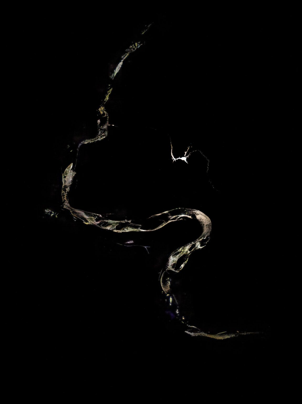 Mondlicht, das vom Amazonas reflektiert wird, von der Internationalen Raumstation aus gesehen