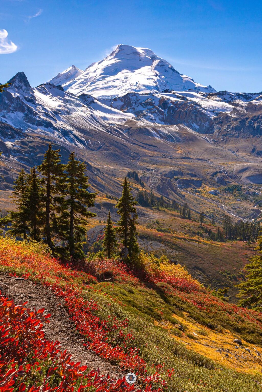 Mt. Baker mit Herbstfarben, W, USA